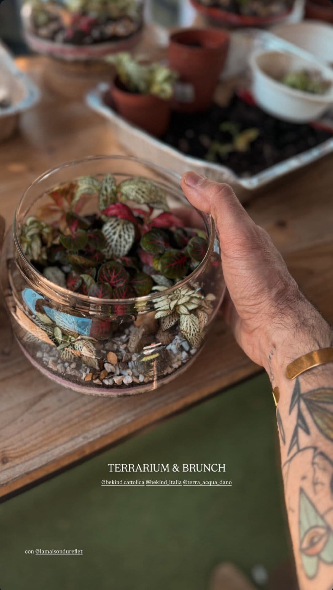 Terrarium Workshop & Brunch Be Kind — foto 2